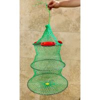 زنده نگهدار شناور دار آستریا سایز: 40